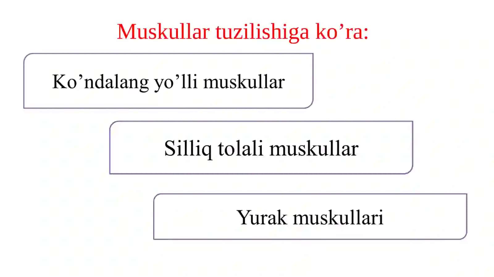 Muskulto’qimasi 3