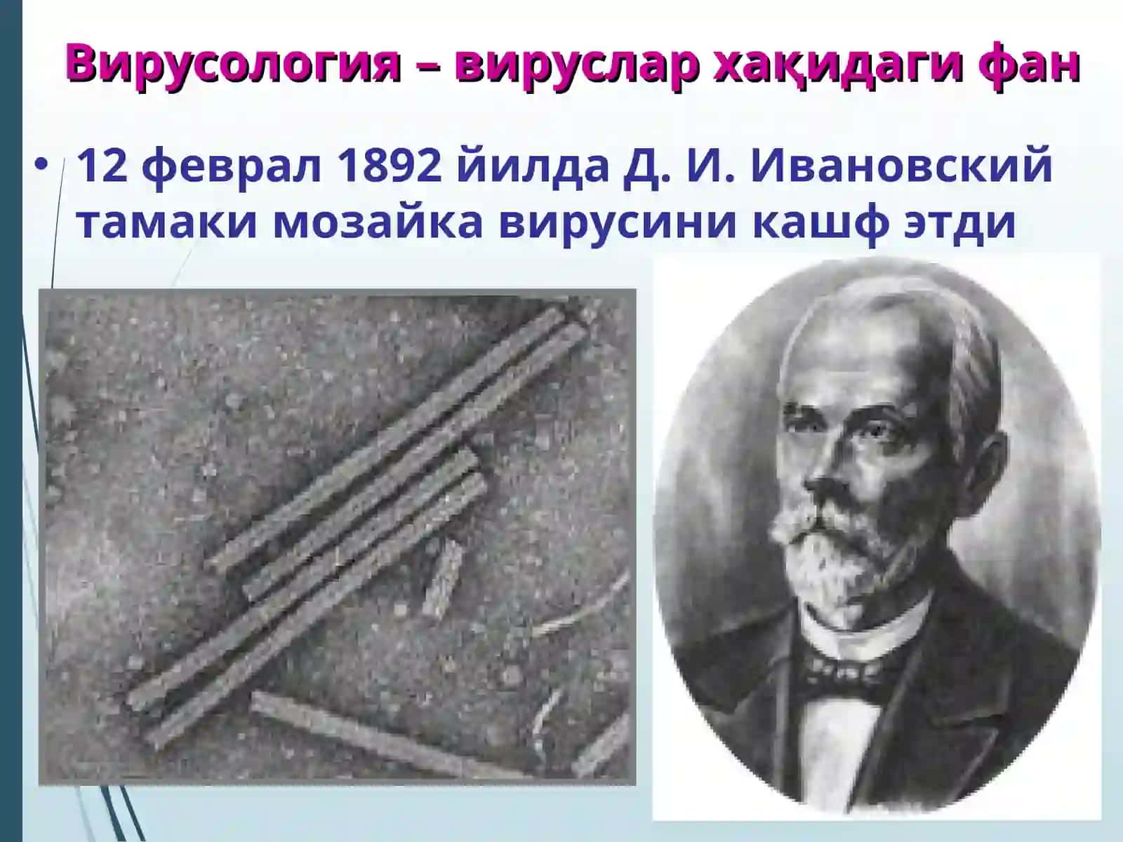 Умумий вирусология 3