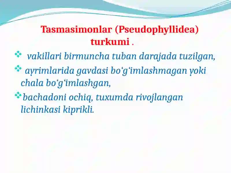 Tasmasimonchuvalchanglar 3