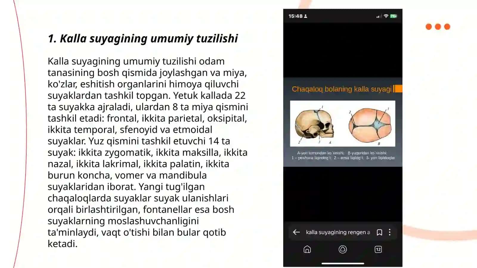 Kalla suyagining rengen anatomiyasi 3