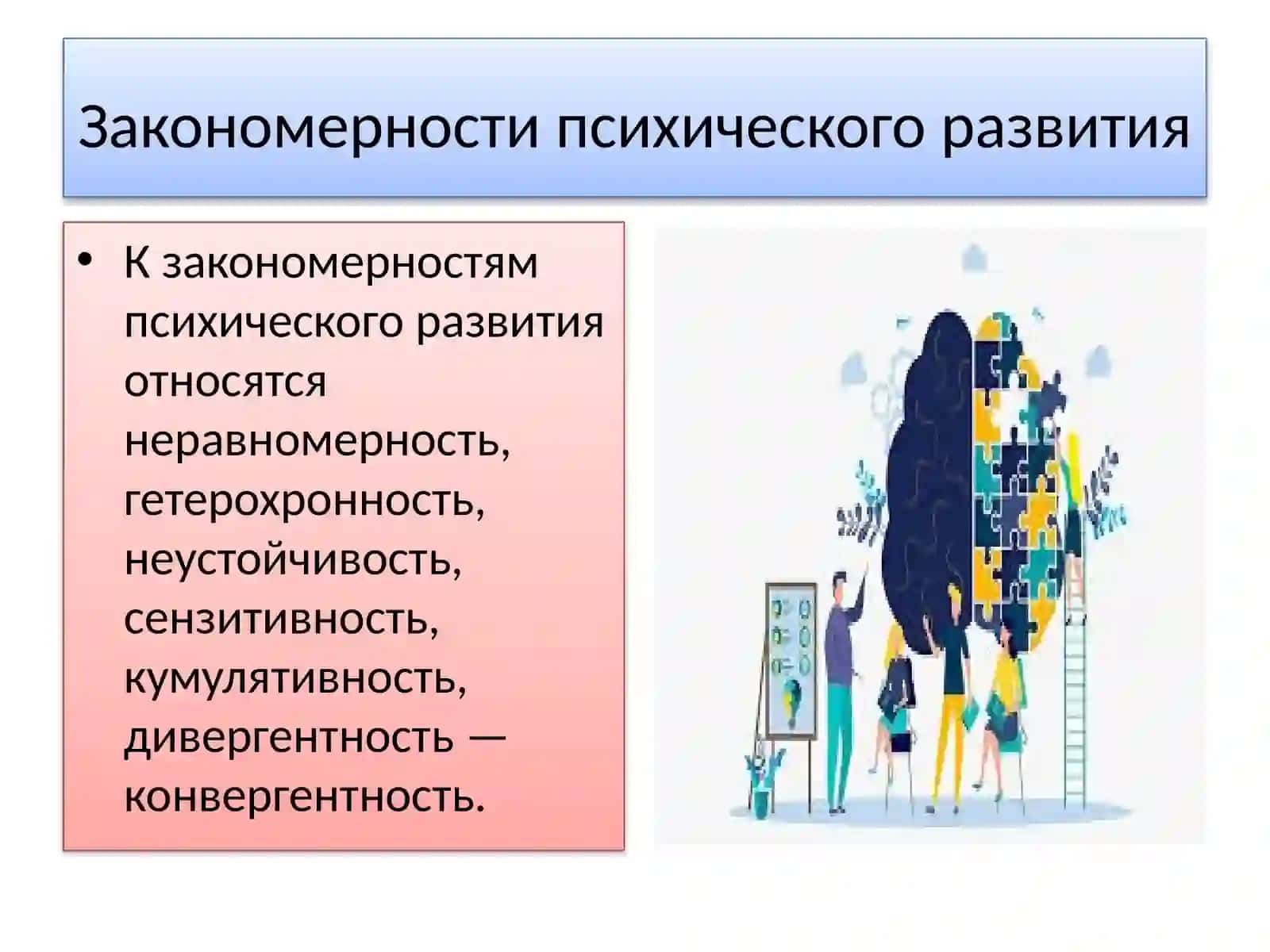 Закономерности психического развития 3