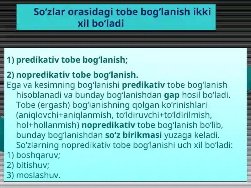 SO‘Z BIRIKMASI VA ULARNING TASNIFI 3