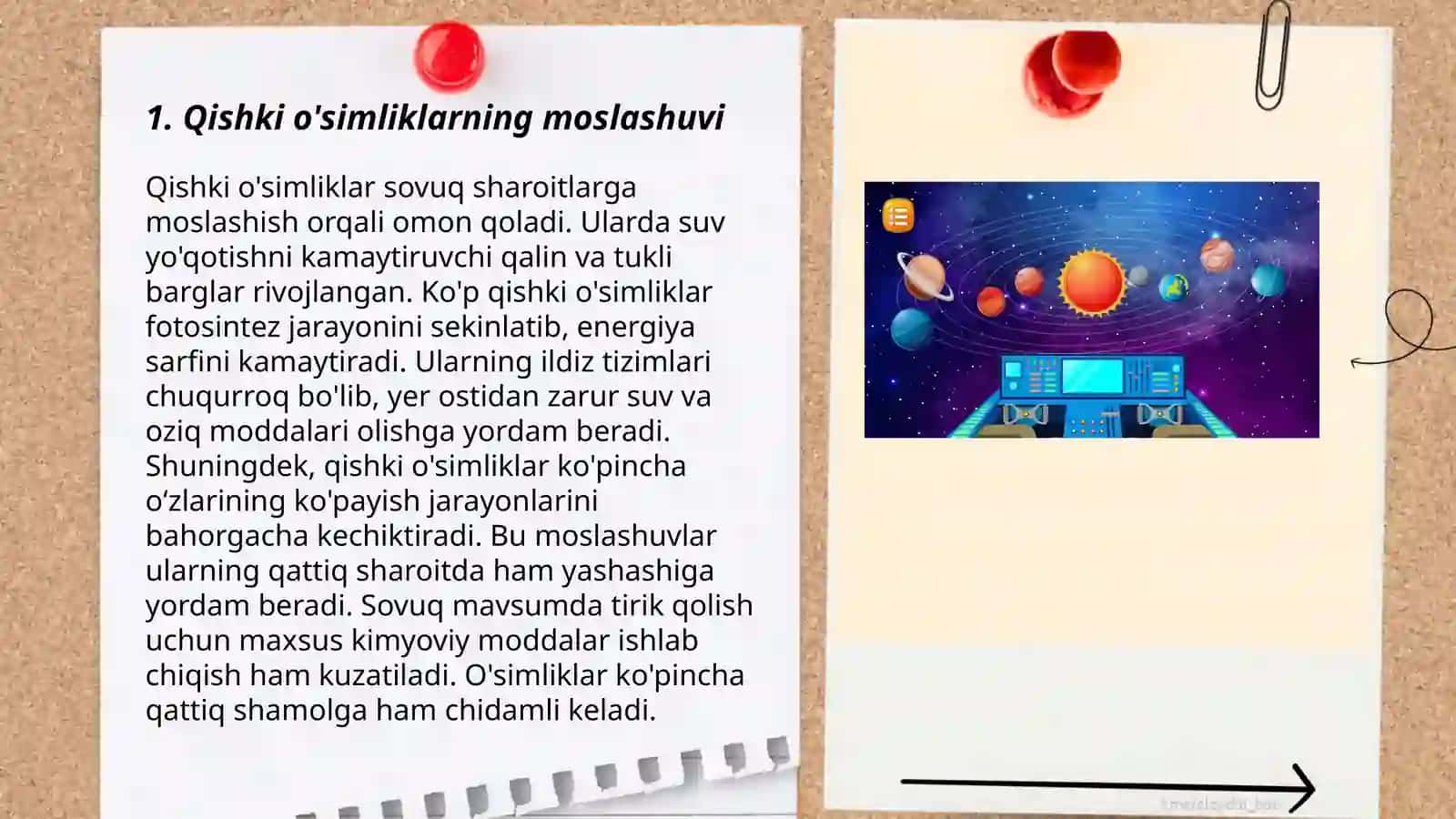 Qishki o'simliklarning moslashuvi 3