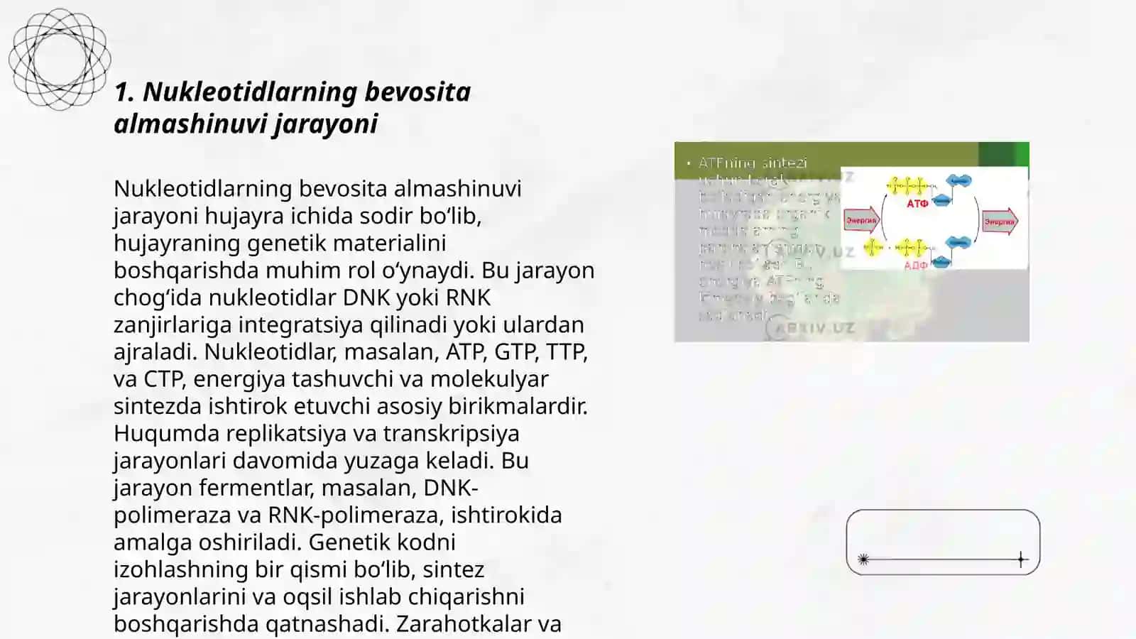 Nukleotidlar Almashinuvi 3