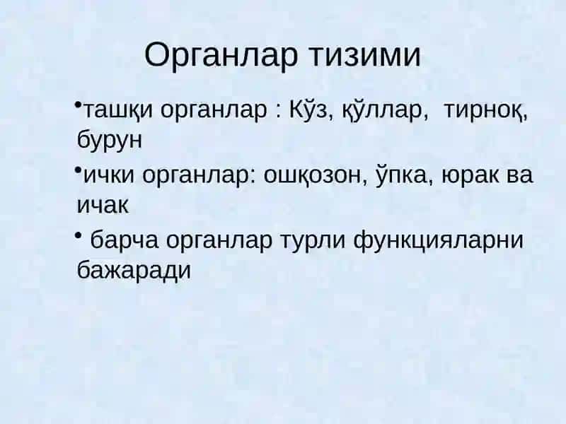 Одам органлар тизими 3