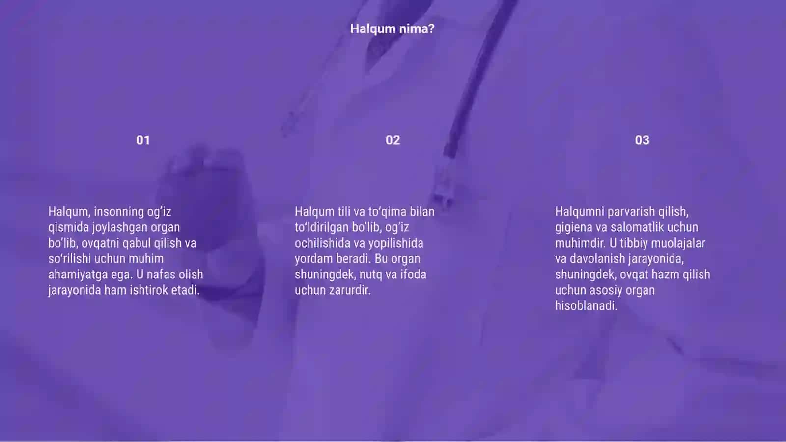 Halqum 3