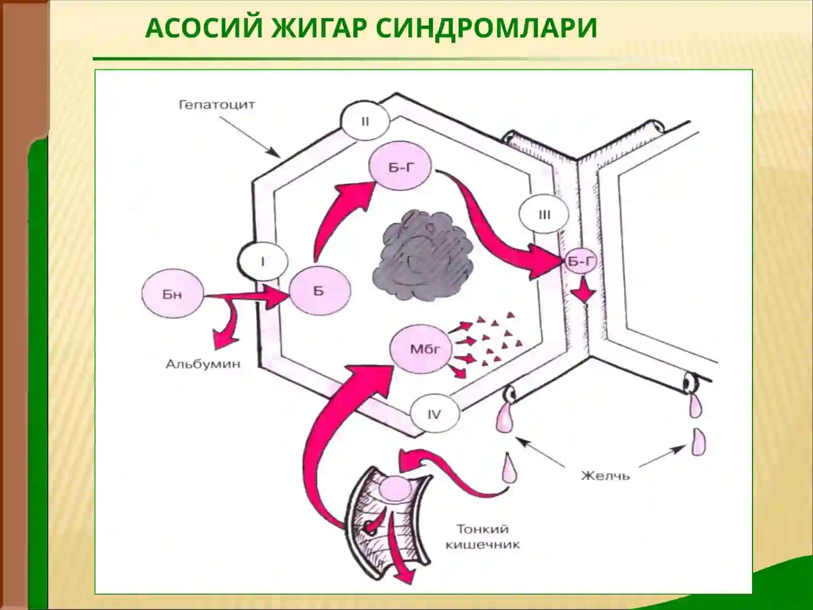 Сариқлик 3