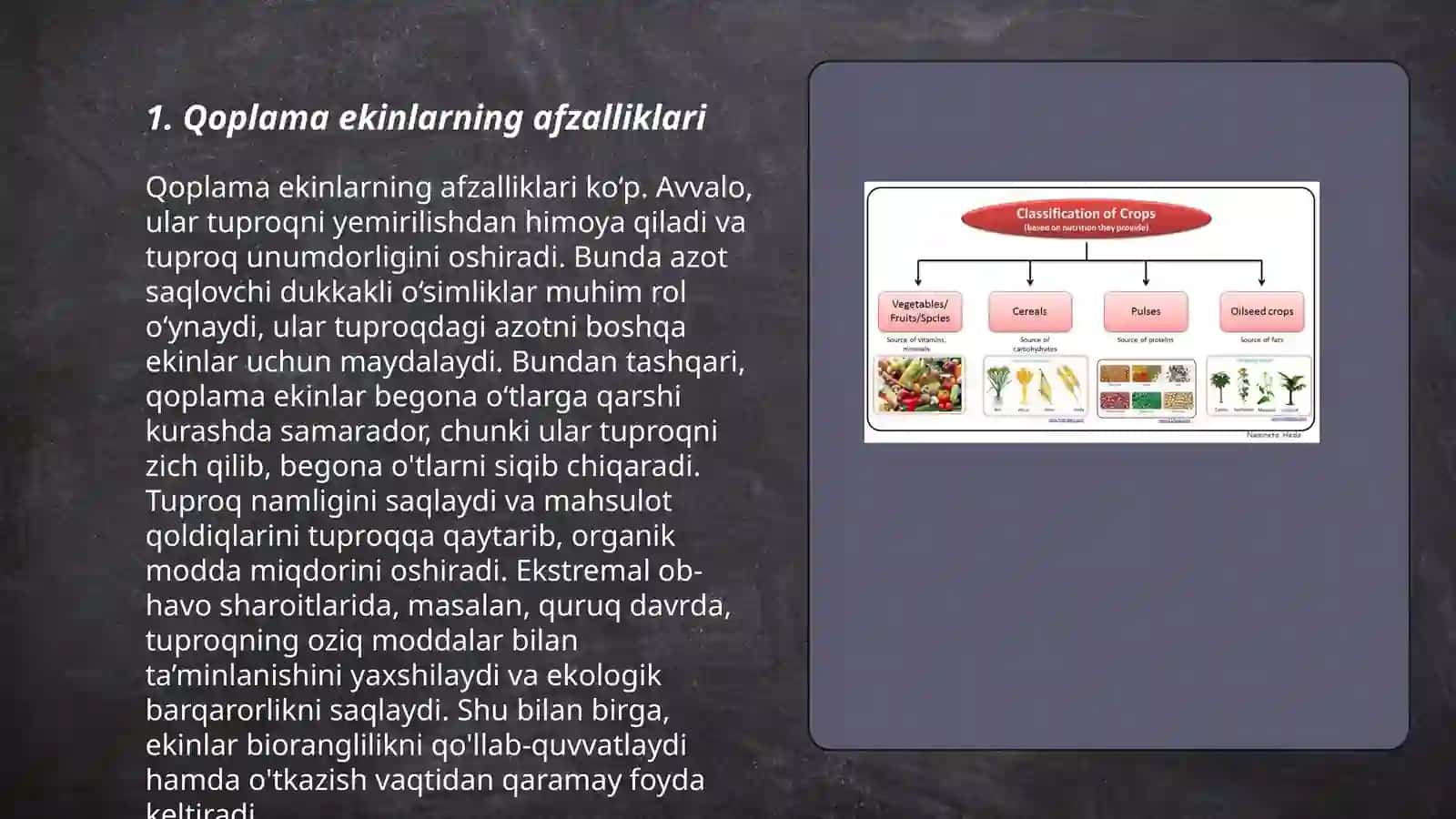 Qoplama ekinlarning afzalliklari 3