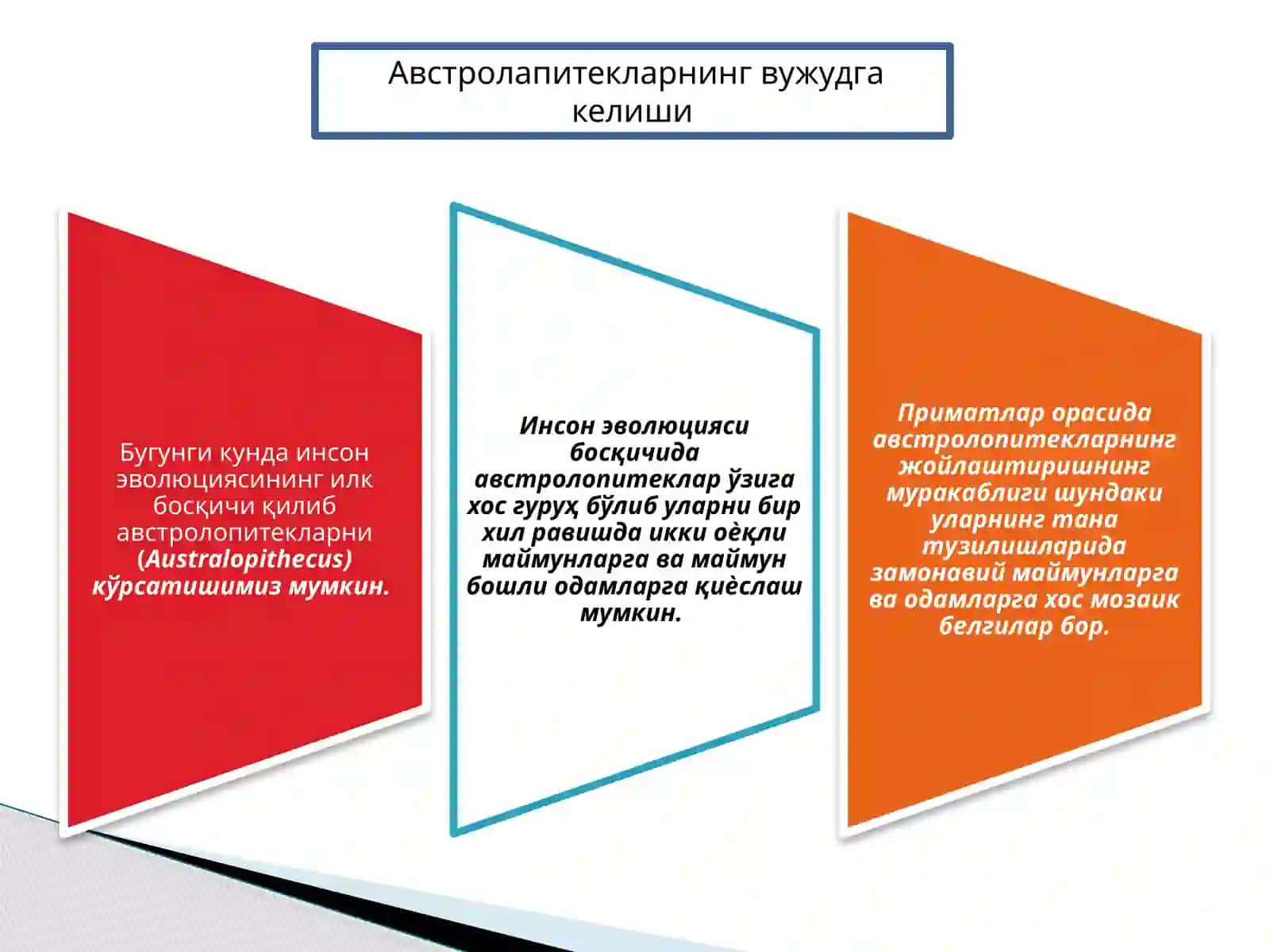 Гоминидлар эволюциясининг илк босқичи. Австролопитеклар. 3