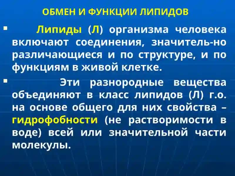БИОХИМИЯ ОБМЕНА ЛИПИДОВ 3