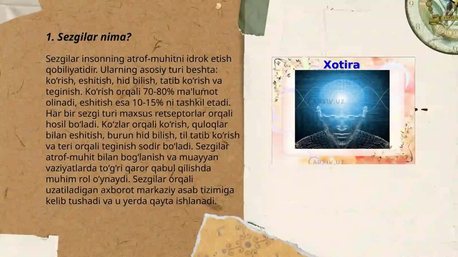 Sezgilar haqida umumiy tushuncha 3