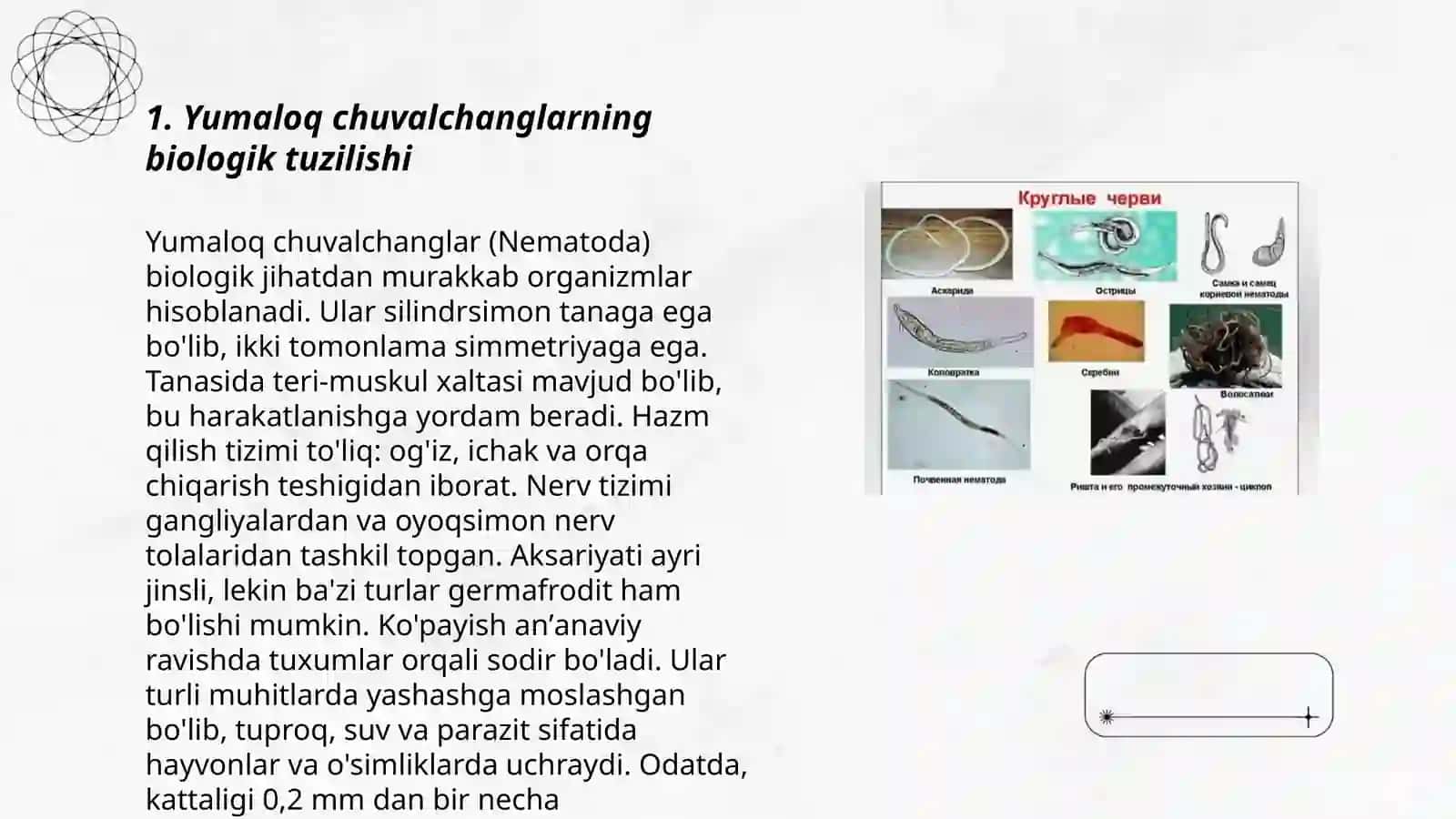 Yumaloq chuvalchanglar -odam parazitlari 3