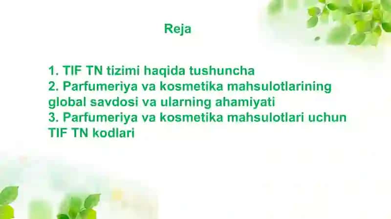 TIF TN tizimi 3