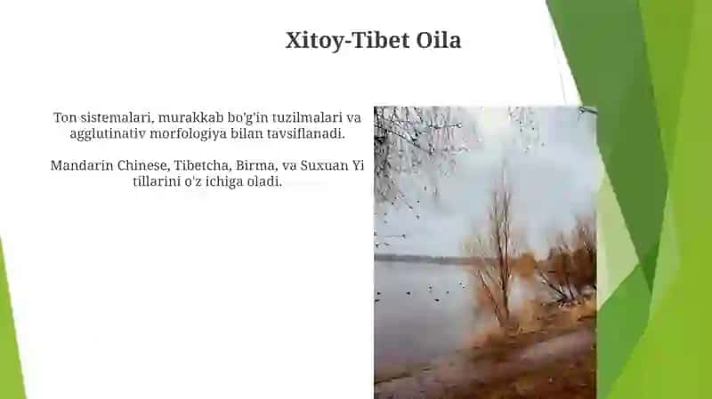 Dunyo tillarining geneologik tasnifi 3