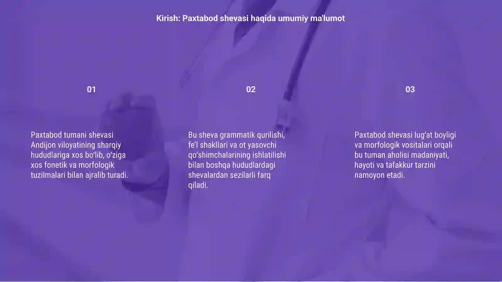 Paxtabod tumani shevasining marfalogik xususiyatlari 3