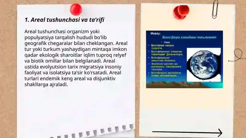 Areal haqida malumot 3
