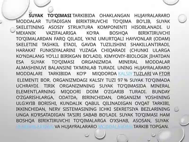 Suyak to'qimasining tuzilishi va vazifalari 3