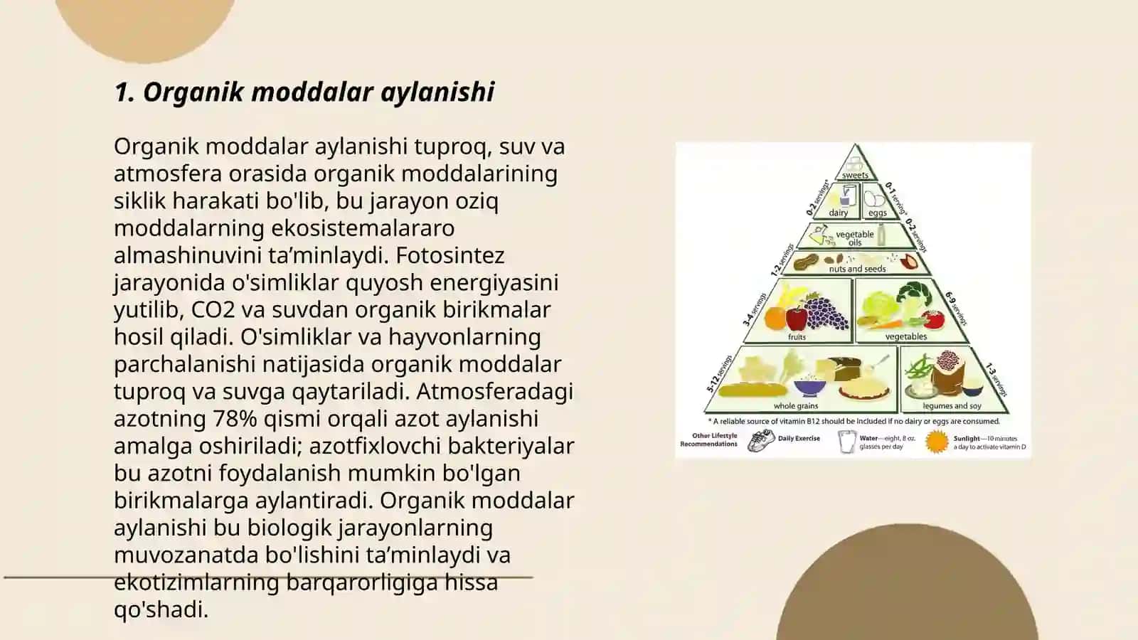 Oziq zanjiri va ekologik piramida 3