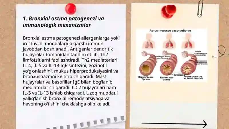 Bronxial astma patogenezi va immunologik mexanizmlar 3