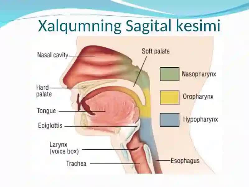 Xalqum 3