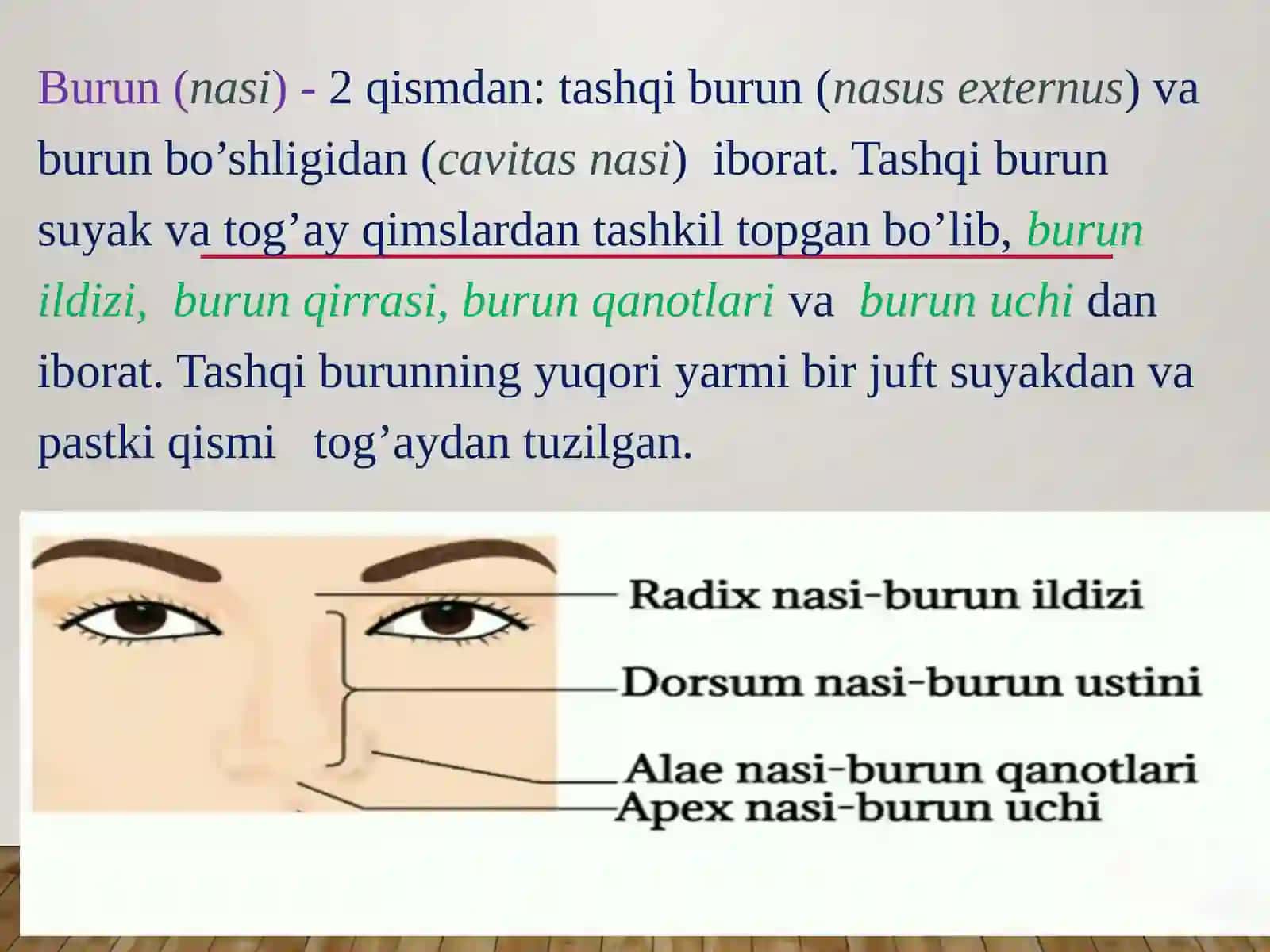 Nafasolisha’zolari tizimi 3