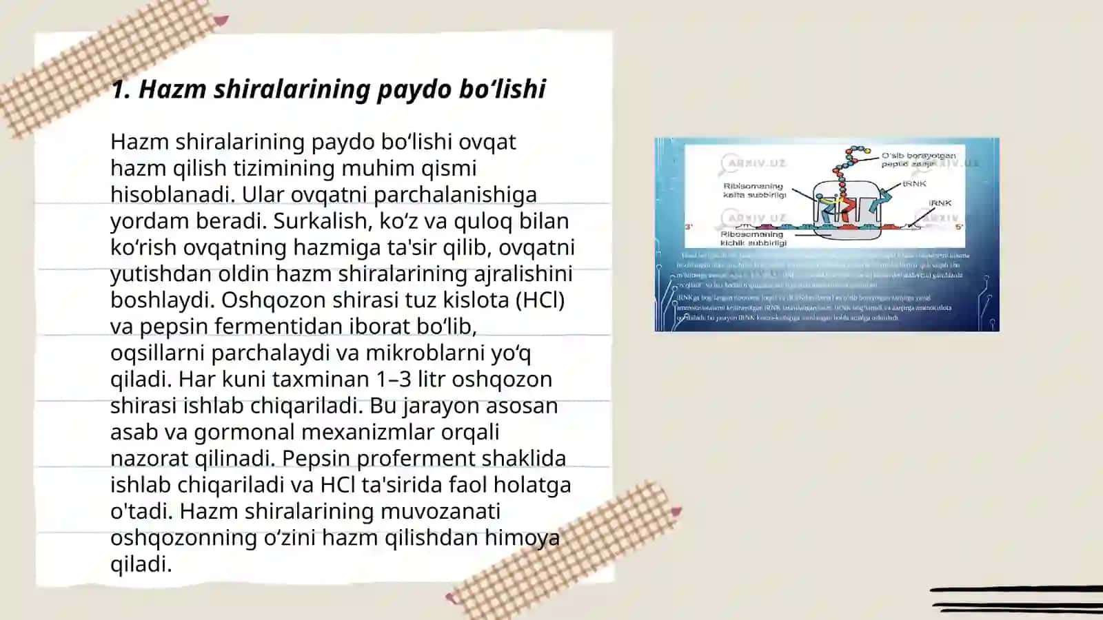 Hazm shiralarining ahamiyati 3
