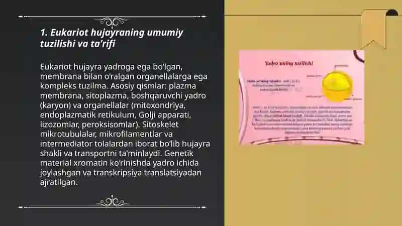 Eukariot hujayralarning umumiy tuzilishi 3
