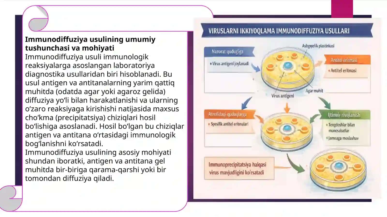 Viruslarni ikkiyoqlama immunodiffuziya usullari 3