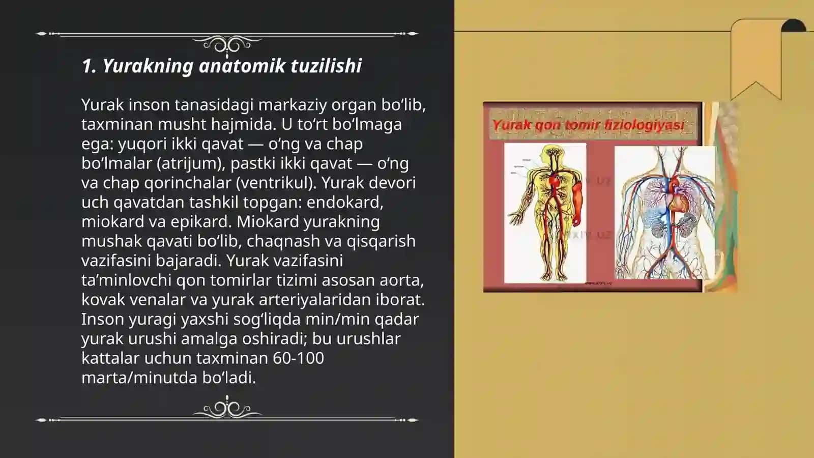 Yurak qon tomirlar fizologiyasi 3