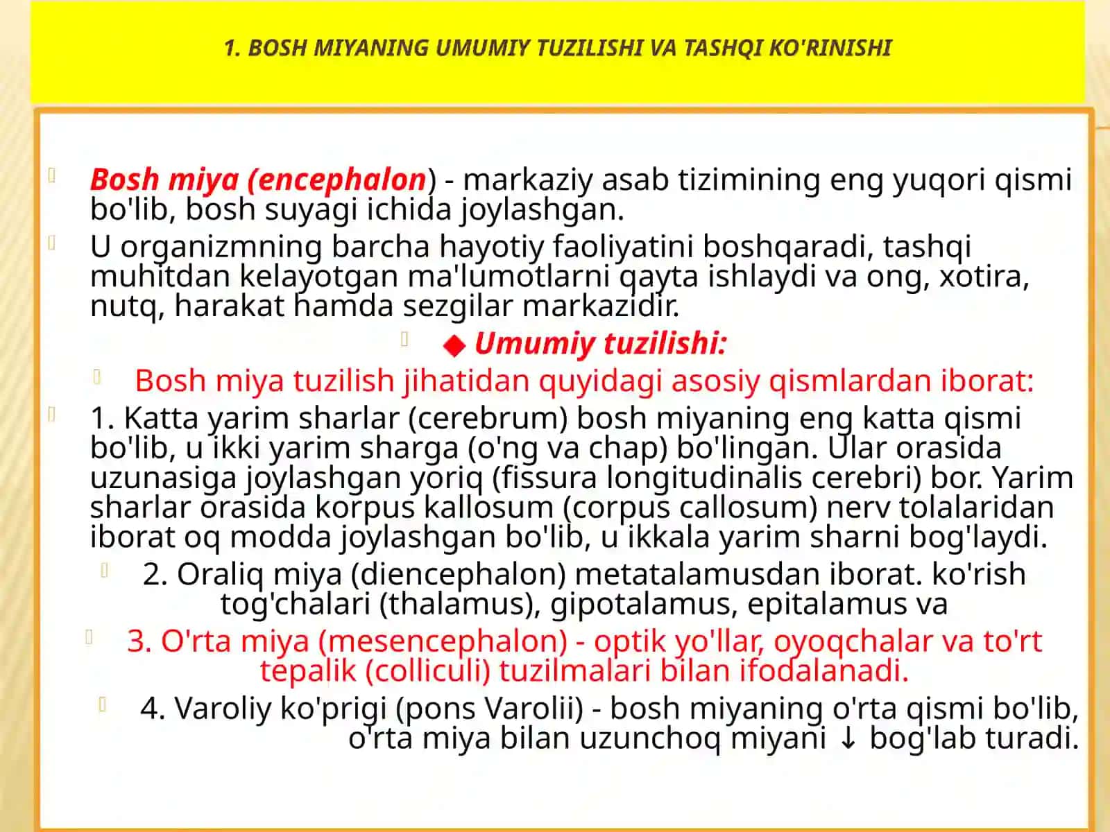 9 juft nerv’’ mavzusi taqdimoti 3