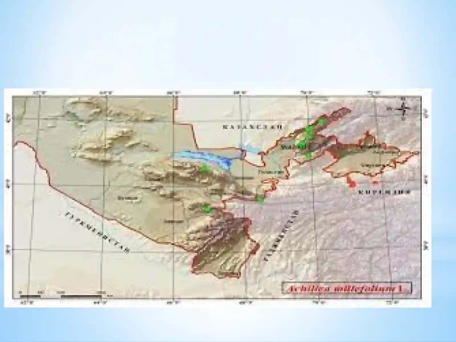 O'simliklar Geografik Tavsifi 3