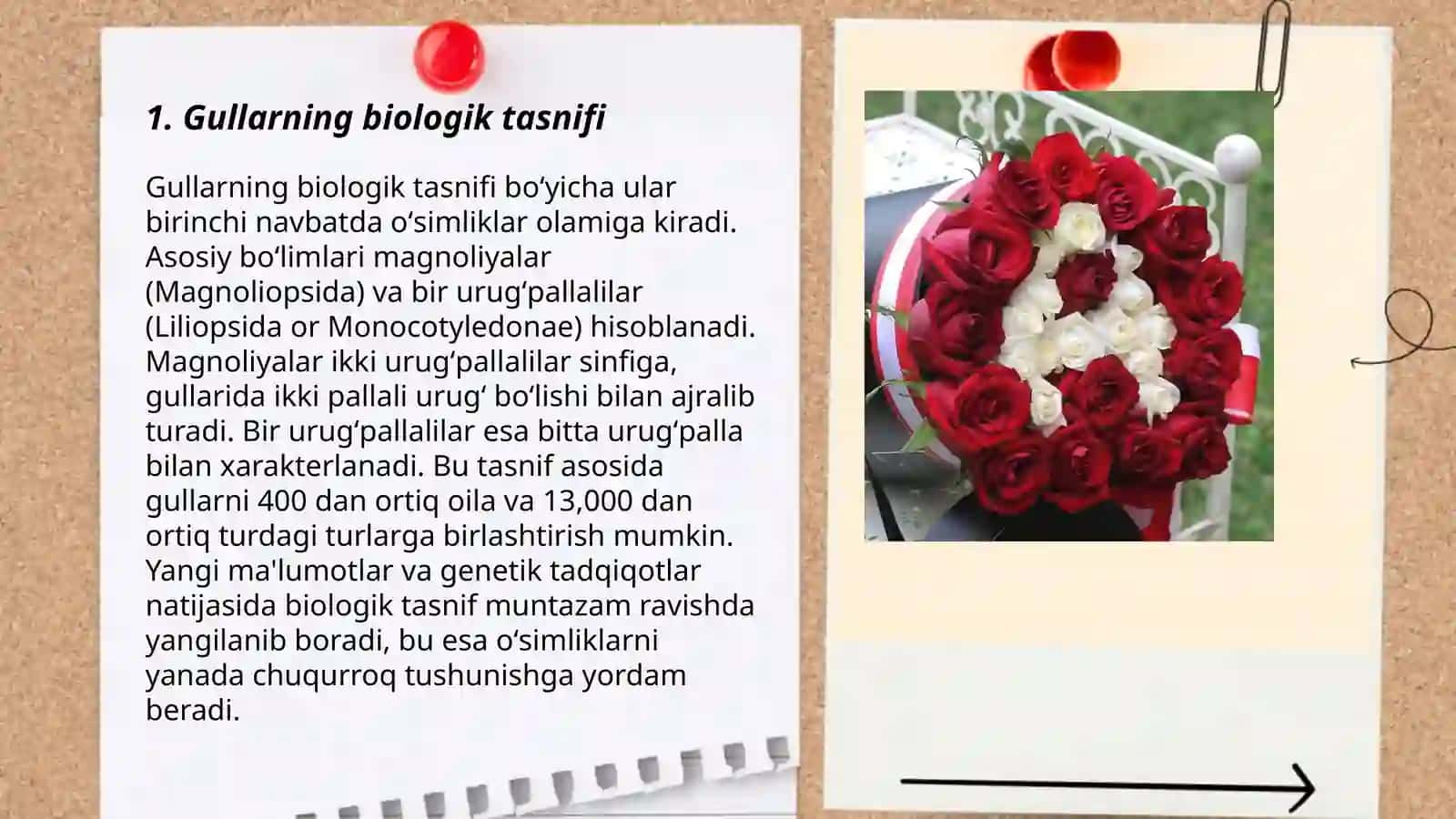 Gullarning biologik tasnifi 3