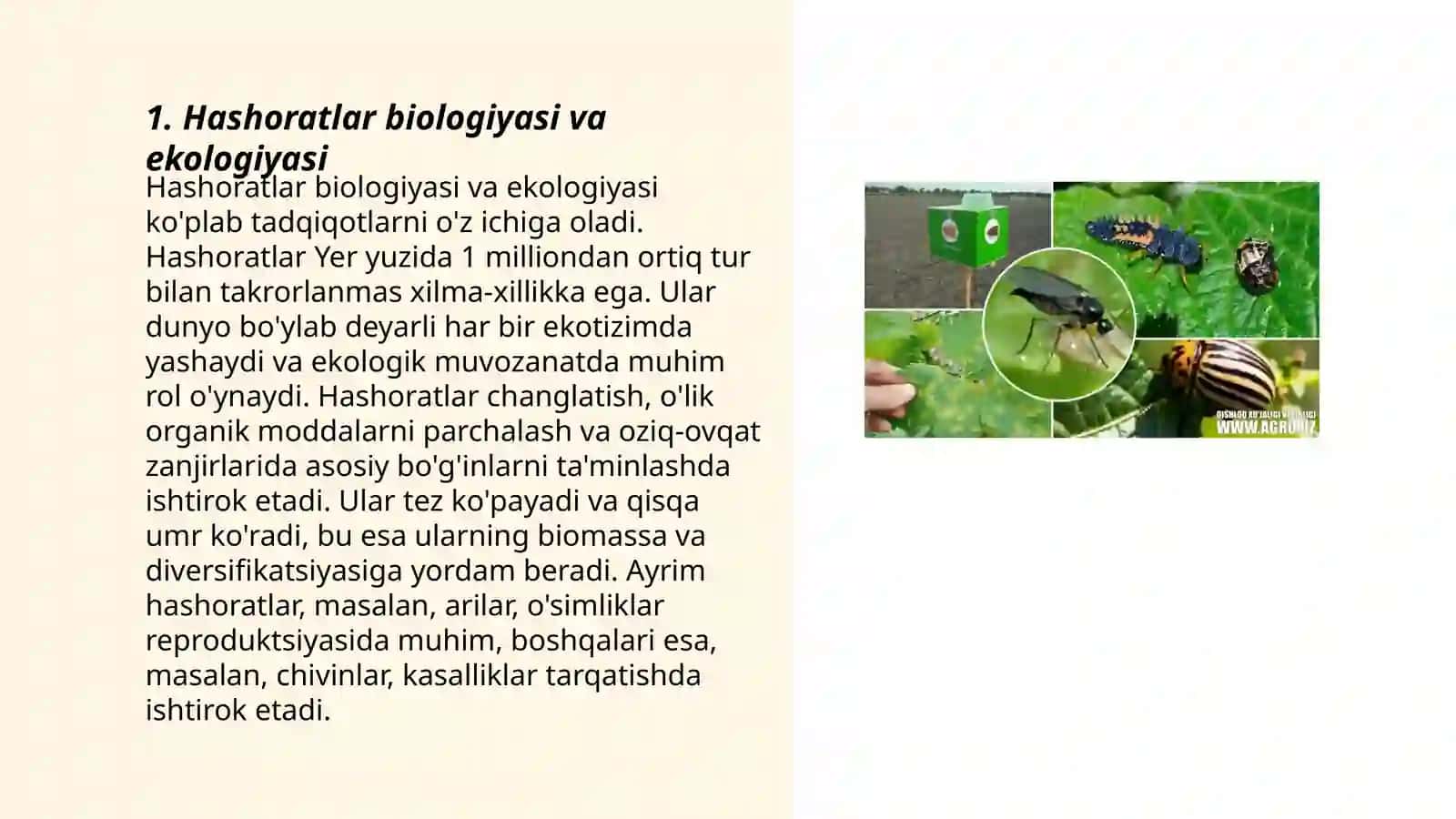 Hashoratlarning tibbiyotdagi ahamiyati 3