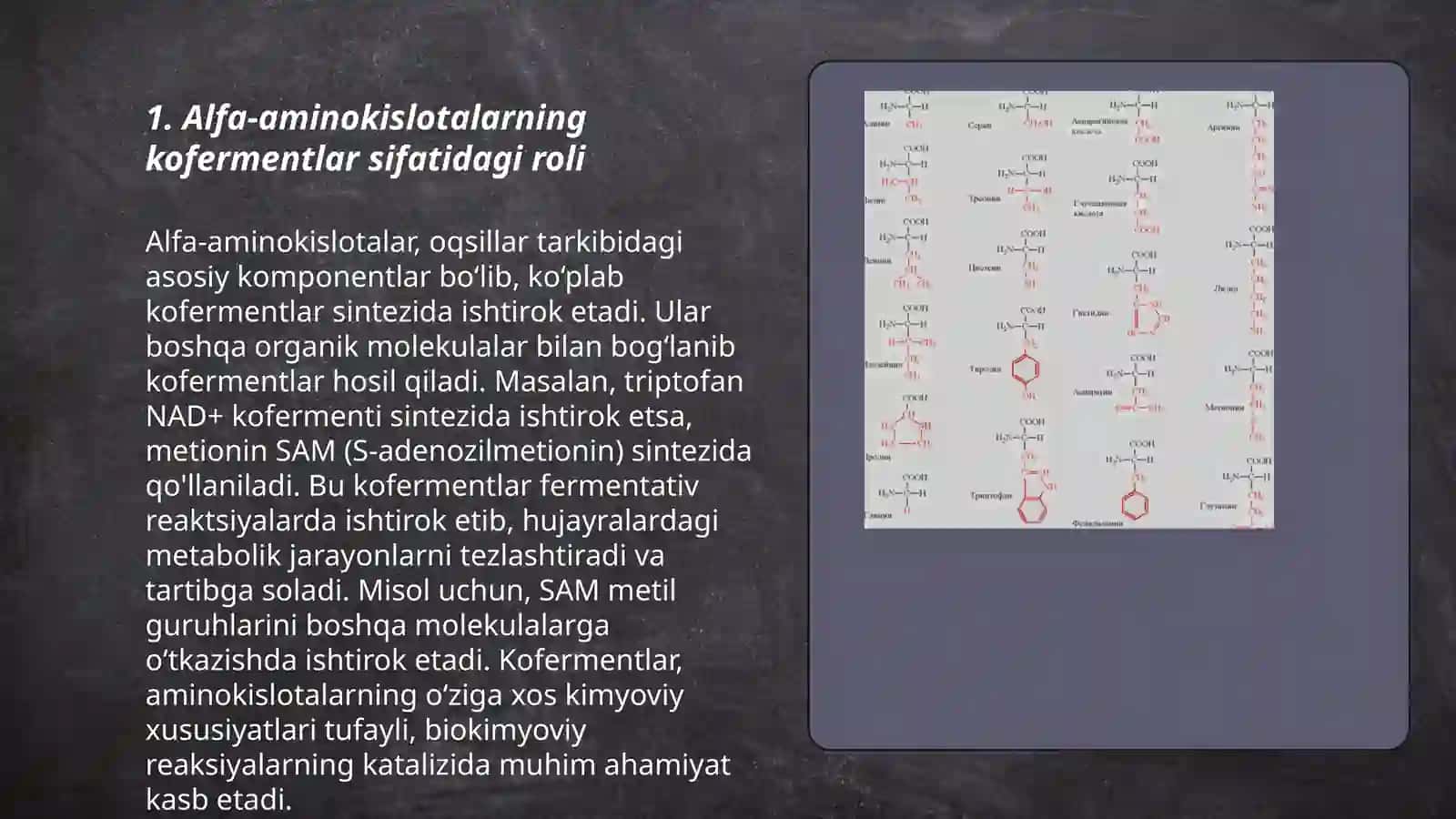 Alfa-aminokislotalar-kofermentlar, gormonlar va vitaminlar 3