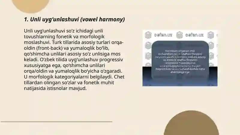 Turli tillardagi fonetik hodisalar 3