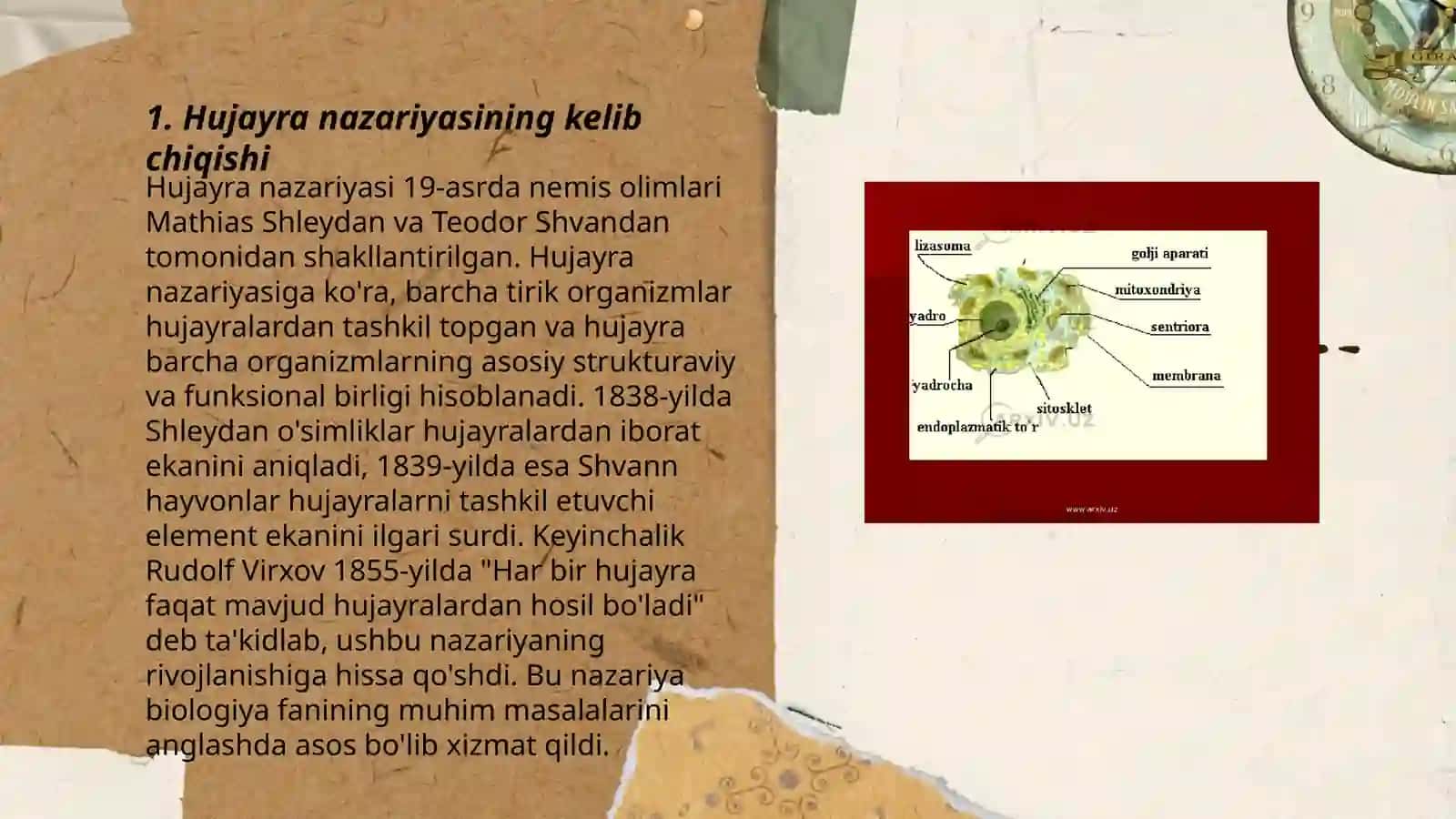 Hujayra nazariyasining yaratilish tarixi 3