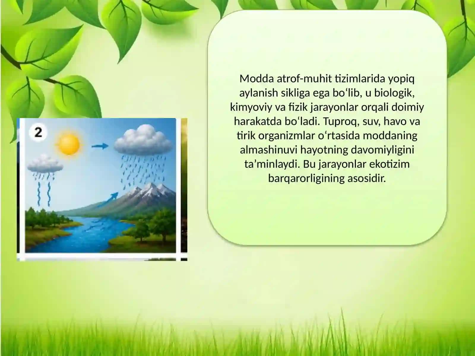 Atrof-muhit tizimlari modda, energiya va hayot 3