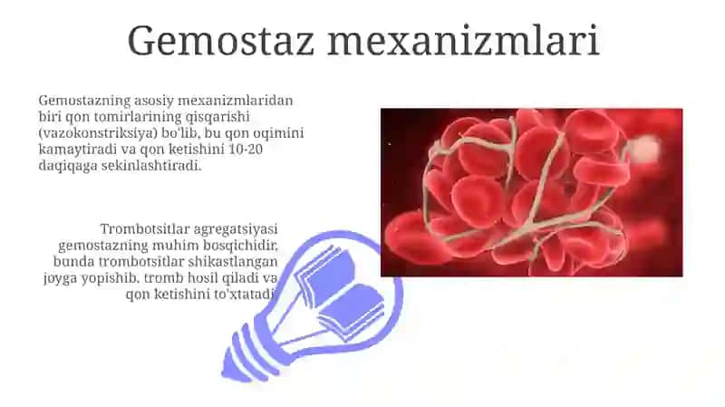 Gemostaz mexanizmlari va uning patalogiyasi 3