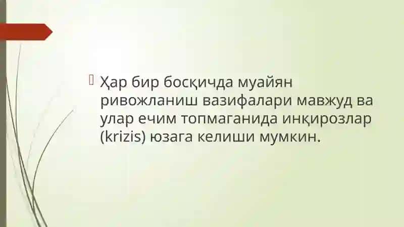 Онтогенез 3
