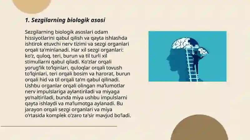 Sezgi nazariyalari 3