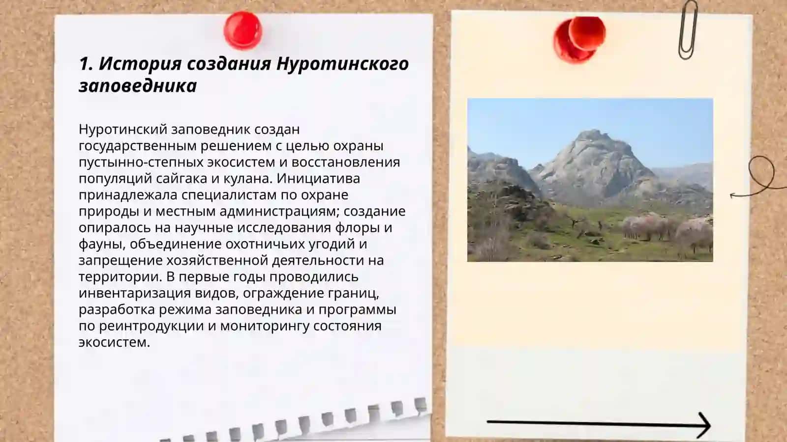 Нуротинский заповетник 3