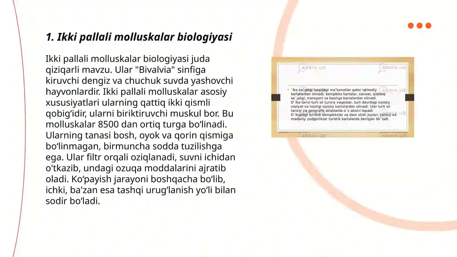 ikki pallali molluskalar 3