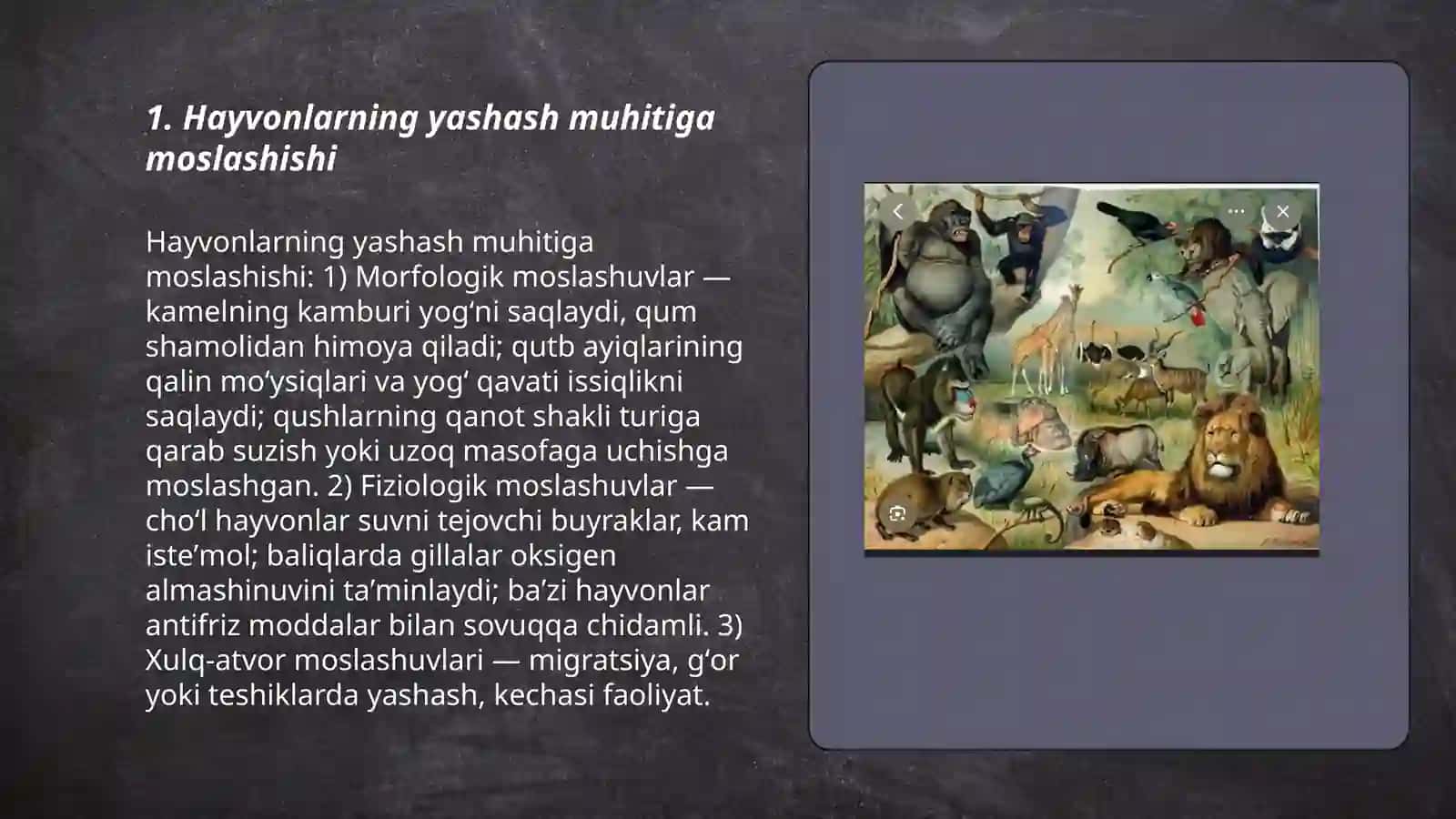 Hayvonot olamining yashash tarzi 3
