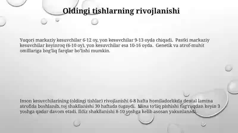 Frantal tishlar (oldingi tishlar) 3
