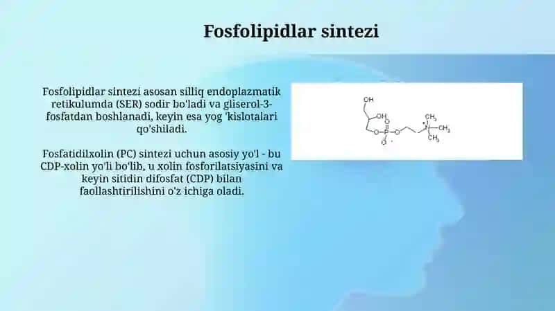 Fosfolipid va steroid metabolizmi 3