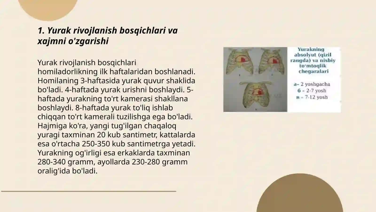 Bola rivojlanishida yurak xajmini o'zgarishi 3
