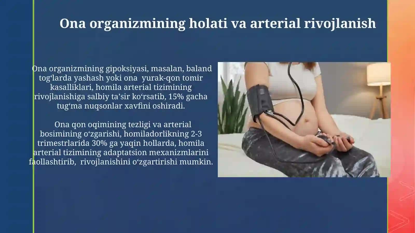 Arterial tizim rivojlanishi 3