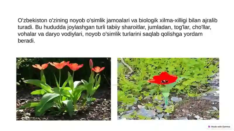 Biologiya yoʻnalishi 3