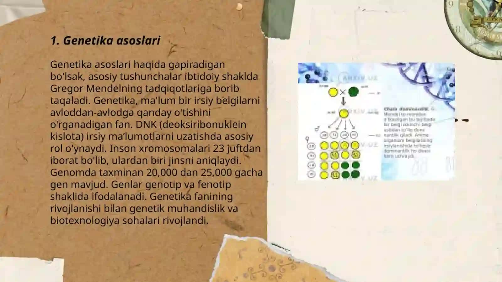 Genetika asoslari 3