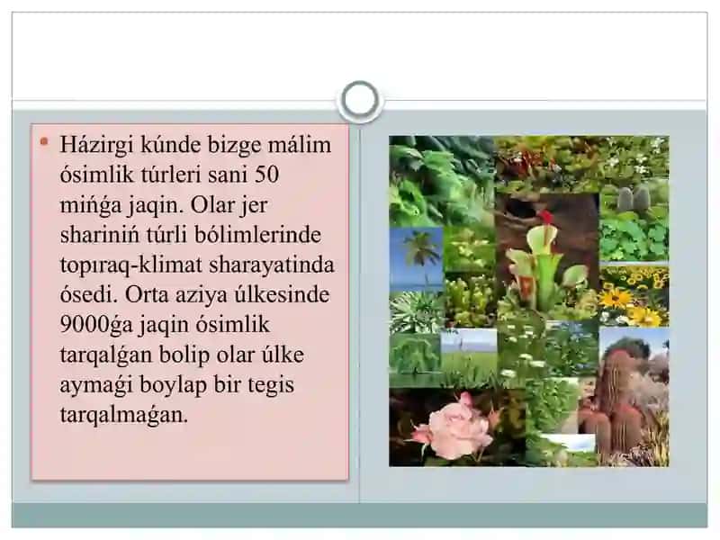 Orta Aziya Faunasi 3